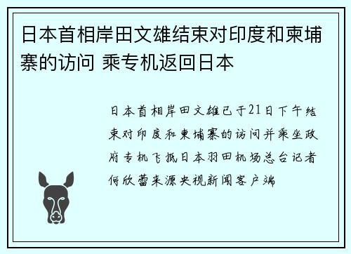 日本首相岸田文雄结束对印度和柬埔寨的访问 乘专机返回日本