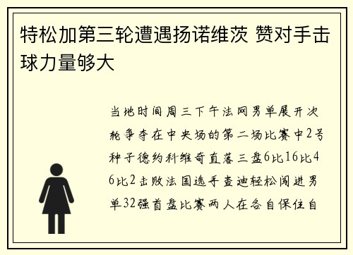 特松加第三轮遭遇扬诺维茨 赞对手击球力量够大